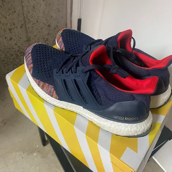adidas Ultra Boost 1.0 multicolor