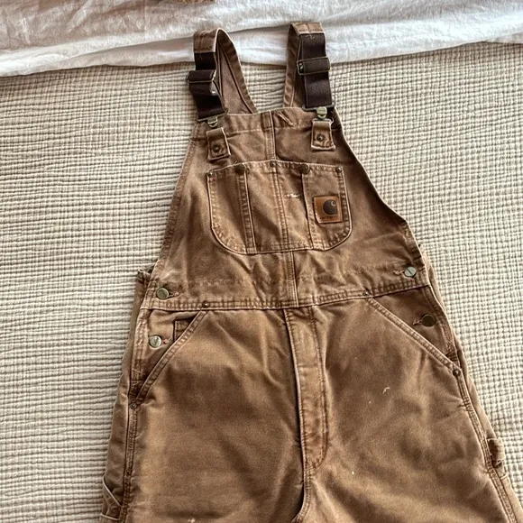 Carhartt Insulated Bibs