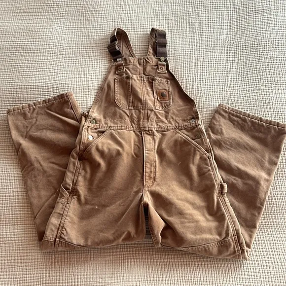 Carhartt Insulated Bibs