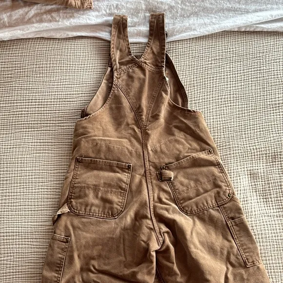 Carhartt Insulated Bibs