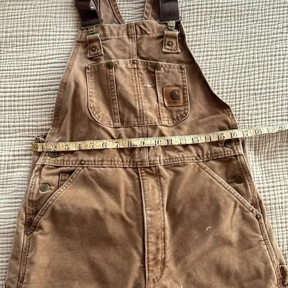 Carhartt Insulated Bibs
