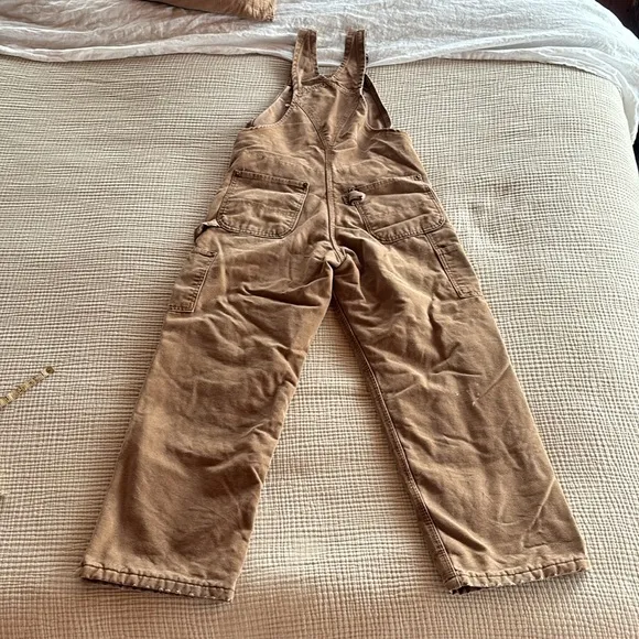 Carhartt Insulated Bibs