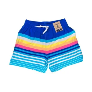 Chubbies Mens The Newport 5.5&quot; Classic Swim Trunks Size S Blue Stripe NWT