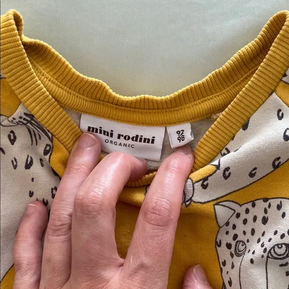 Designer sweatshirt dresses size 3