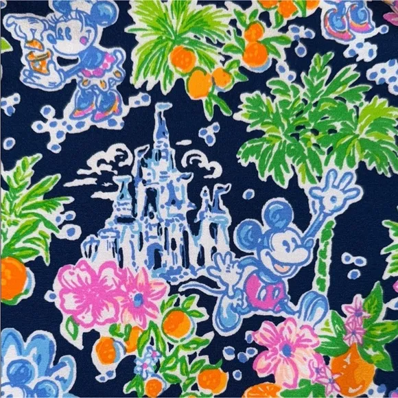 Disney &amp; Lilly Pulitzer Sophie Dress Medium