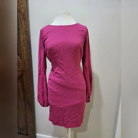 DRESS THE POPULATION Mackenzie Dress NWT size Small HIBISCUS/PINK