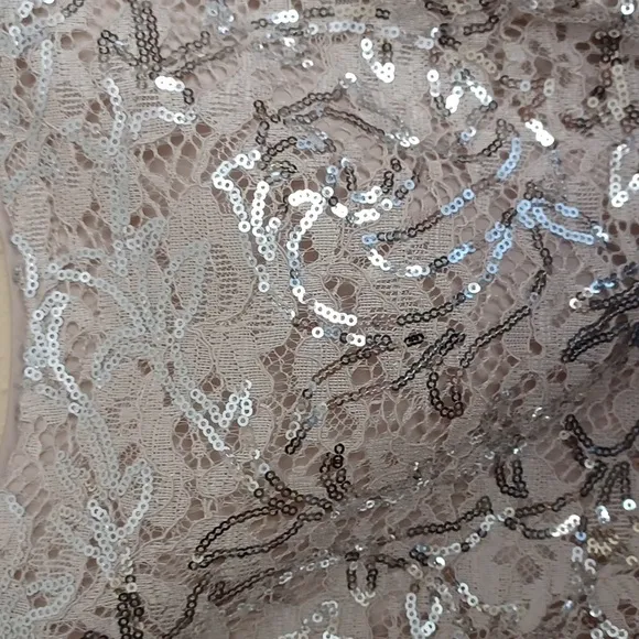 Eliza J Formal Evening Gown Sequin Lace Sleeveless Satin Ruffle SZ 6 Champagne