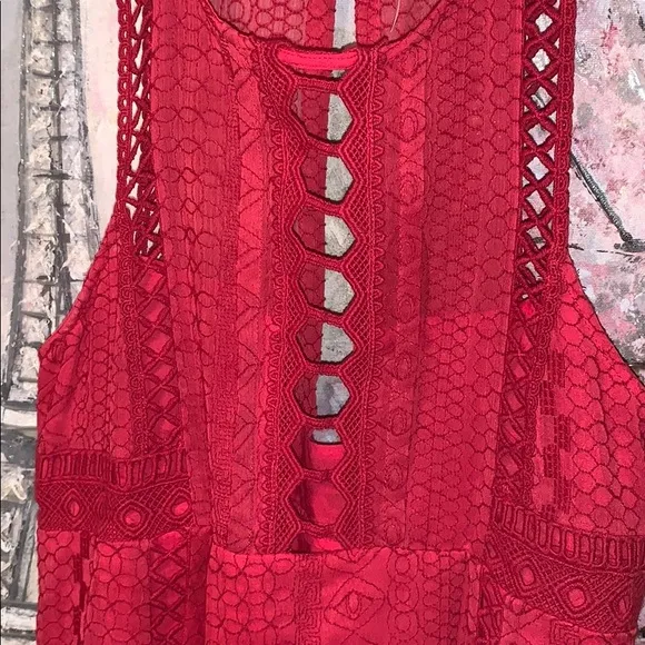Free People red lace Wherever You Go lined dress