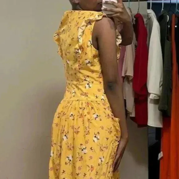 La Masion Talulah-Tansy dress