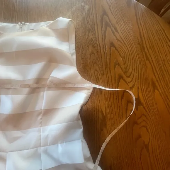 LELA ROSE Organza Striped Boat Neck Full Skirt Dress Pockets Size 14 White READ