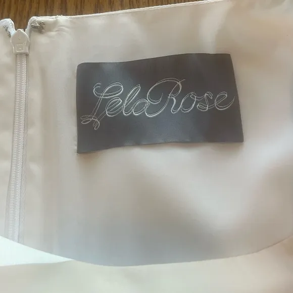 LELA ROSE Organza Striped Boat Neck Full Skirt Dress Pockets Size 14 White READ