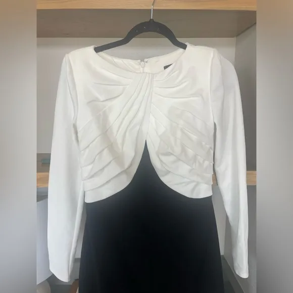 new Tadashi Shoji nelson long sleeve crepe gown in black and white