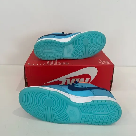 Nike Dunk SE Low Baltic Blue Orange GLOW in the Dark Sole Men’s 10.5 Shoes
