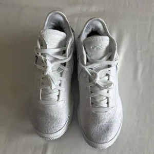 Nike Lebron NXXT Gen White Metallic Silver Nexxt Generation DR8784 101 Mens