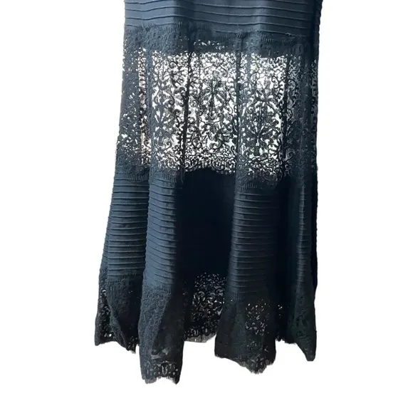 Tadashi Shoji Black Embroidered Illusion Lace Pintuck Jersey Dress Formal Gown