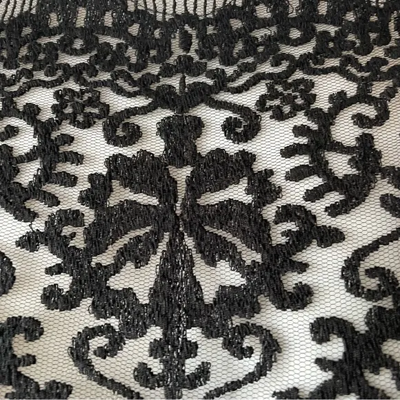 Tadashi Shoji Black Embroidered Illusion Lace Pintuck Jersey Dress Formal Gown
