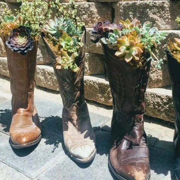 Wrangler Western Boots